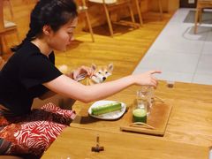 -柴务处·柴犬主题狗咖