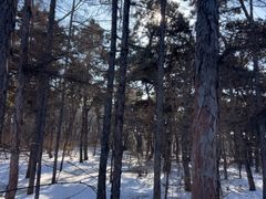 -长春市南湖公园