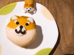 -柴务处·柴犬主题狗咖