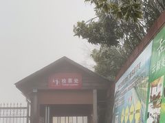 -江南天池