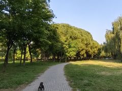 -东坝千亩湖公园