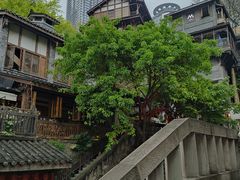 -重庆十八梯传统风貌区