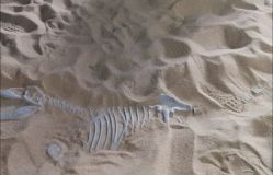 -恐龙探索乐园(磁器口店)