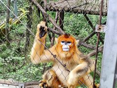 -哈尔滨北方森林动物园