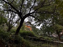 -北京水岸山吧度假村(雁栖镇店)