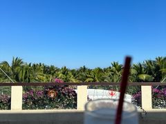 -三亚海棠湾喜来登度假酒店大堂吧