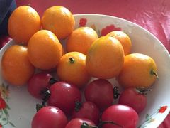 -桤木河湿地公园