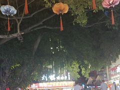 -刘姐啤酒鱼民族演艺餐厅(西街总店)