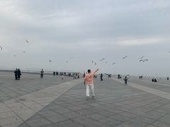 -东港音乐喷泉广场