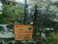 -呀诺达热带雨林