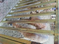 android_upload_pic-赛汗塔拉风情园