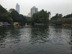 -晓港公园