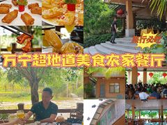 -兴隆槟榔园休闲农庄