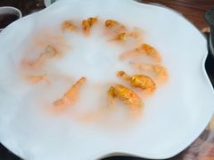 -三强鸽子(胜利路店)