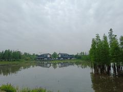 -白鹭湾湿地公园