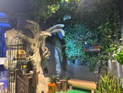 -酷嗒动物文化乐园(cutezoo西溪乐天城店)