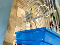 -时光花园(白鹭洲店)