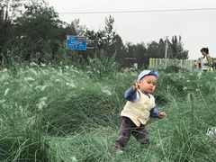 -白鹭湾湿地公园