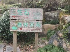 -杭州西湖风景名胜区-三生石