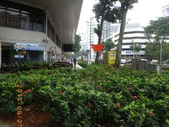 -新加坡武吉士lyf酒店