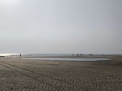 -贝壳沙滩