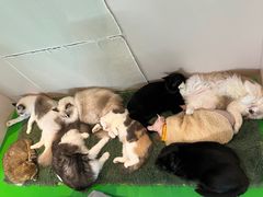 -茂业百货(东门店)