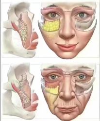 -雅曼妮spa美容养生