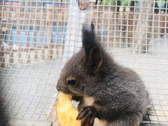 -秦皇岛野生动物园