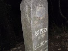 -梧桐山风景名胜区