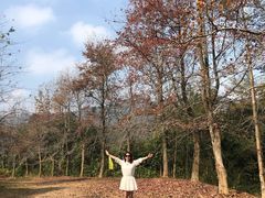 -田野绿世界