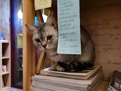 -隅cafe(傅厚岗店)