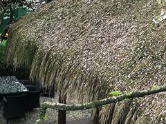 -中国茶叶博物馆(双峰馆区)