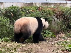 -黔灵山公园