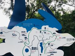 -广东惠东海龟国家级自然保护区