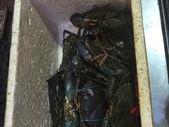 -桥底辣蟹(谢斐道店)