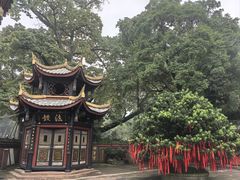 -峨眉山报国寺