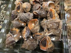 -浩运海鲜·16年专注青岛菜(石老人店)
