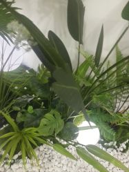 -HEYAN荷妍专业脱毛连锁机构