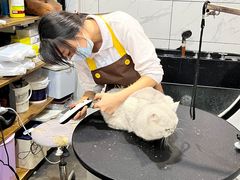 -宠爱国际动物医院·消化内科·心肾内科·ISFM猫友好(望京店)