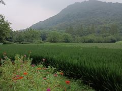 -八卦田遗址公园