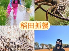 -阳澄湖半岛旅游度假区
