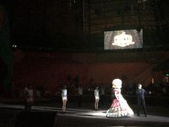 -俄罗斯国家大马戏团