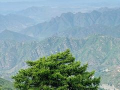 -灵山