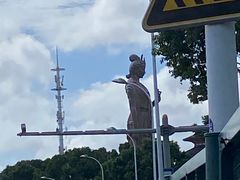 -蟹天蟹地农家菜·阳澄湖大闸蟹(浅水湾店)