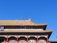 -故宫博物院(故宫)