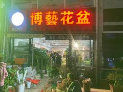 -中环花鸟鱼虫市场