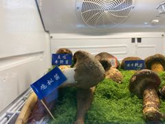 -束河人家(南锣鼓巷店)