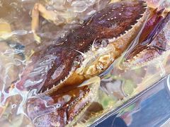 -渔中舟海鲜大排档(普陀沈家门店)