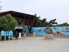 -广东惠东海龟国家级自然保护区