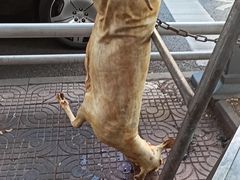 -三兄弟鲜羊肉